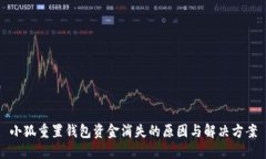 小狐重置钱包资金消失的原因与解决方案