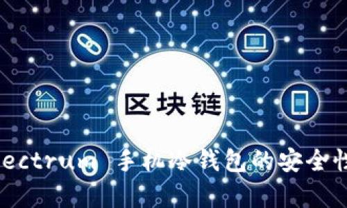 全面解析:Electrum 手机冷钱包的安全性与使用指南