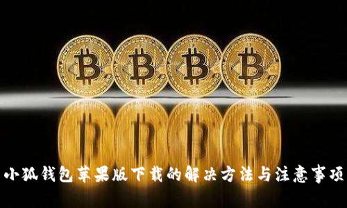 小狐钱包苹果版下载的解决方法与注意事项