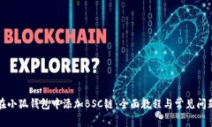 如何在小狐钱包中添加BSC链:全面教程与常见问