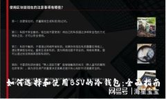 如何选择和使用BSV的冷钱包:全面指南