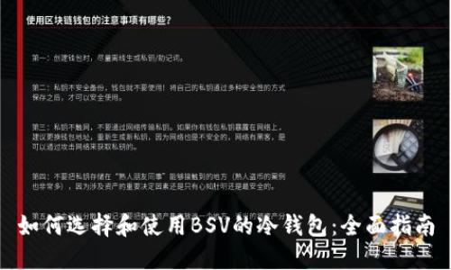 如何选择和使用BSV的冷钱包:全面指南