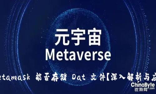 Metamask 能否存储 Dat 文件？深入解析与应用
