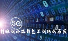 Ronin钱包转账到小狐钱包不到账的原因及解决方法