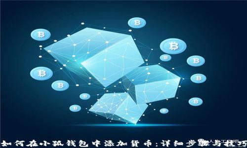 如何在小狐钱包中添加货币:详细步骤与技巧