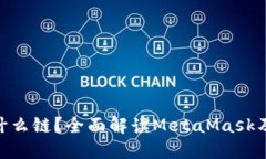 MetaMask钱包是什么链?全面解读MetaMask及其链的功