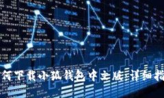 如何下载小狐钱包中文版:详细指南