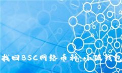 如何轻松找回BSC网络币种:小狐钱包详细指南