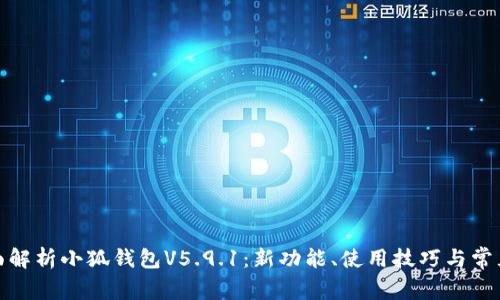 : 全面解析小狐钱包V5.9.1:新功能、使用技巧与常见问题