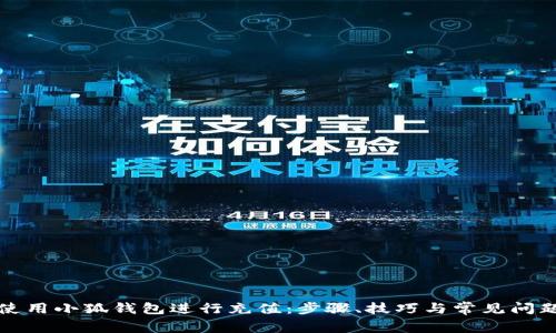如何使用小狐钱包进行充值:步骤、技巧与常见问题解析