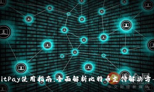 BitPay使用指南：全面解析比特币支付解决方案