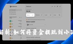 详细解析:如何将资金提现到小狐钱包