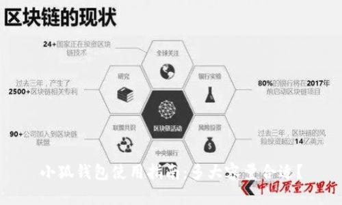 小狐钱包使用指南:多大容量合适?