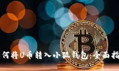 如何将U币转入小狐钱包:全面指南