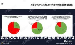 小狐钱包无法连接BSC:常见问题解析与解决方案
