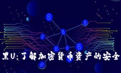 冷钱包与黑U:了解加密货币资产的安全性与风险