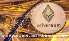 小狐钱包是否支持Sol链?详尽解析与使用指南