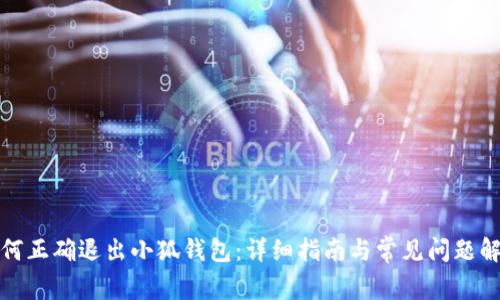 如何正确退出小狐钱包:详细指南与常见问题解答