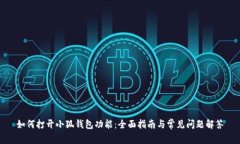 如何打开小狐钱包功能:全面指南与常见问题解