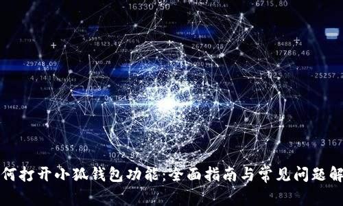 如何打开小狐钱包功能:全面指南与常见问题解答