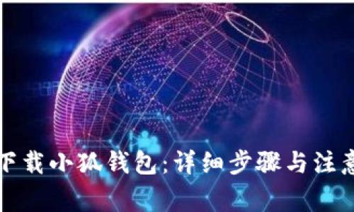 如何下载小狐钱包:详细步骤与注意事项