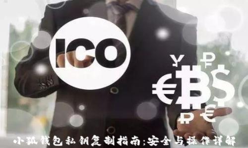 小狐钱包私钥复制指南:安全与操作详解