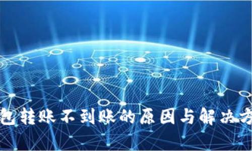TP冷钱包转账不到账的原因与解决方案解析