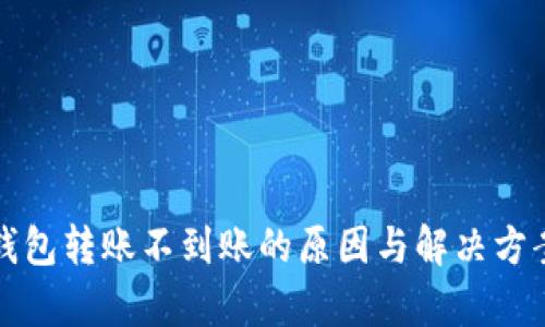 TP冷钱包转账不到账的原因与解决方案解析