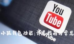 如何开通小狐钱包功能:详尽指南与常见问题解