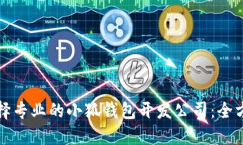 如何选择专业的小狐钱包开发公司:全方位指南