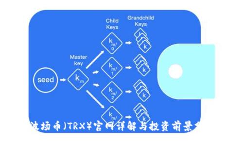 波场币(TRX)官网详解与投资前景分析