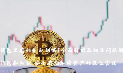 冷钱包里存的是私钥吗?全面解析及相关问题解答
冷钱包和私钥:安全存储加密资产的最佳实践