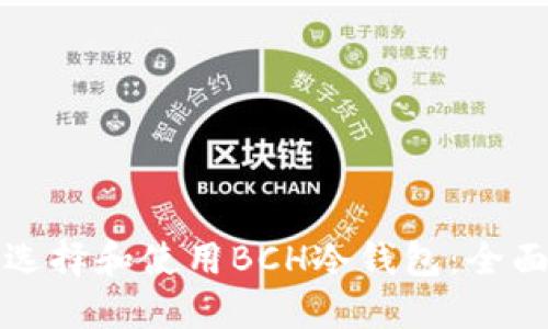 如何选择和使用BCH冷钱包:全面指南