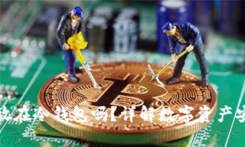 火币可以放在冷钱包吗?详解数字资产安全与管理