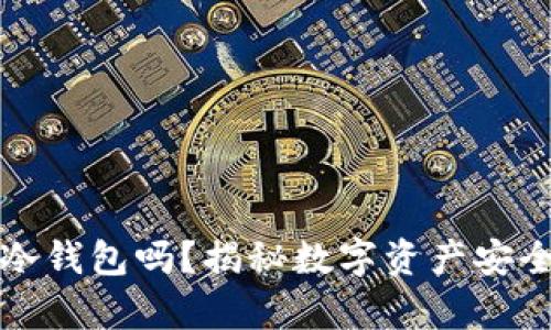 小狐钱包是冷钱包吗?揭秘数字资产安全存储的真相