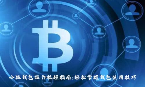 小狐钱包操作视频指南:轻松掌握钱包使用技巧