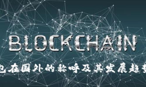 冷钱包在国外的称呼及其发展趋势分析
