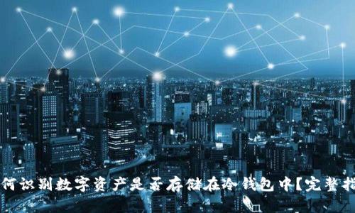 如何识别数字资产是否存储在冷钱包中?完整指南