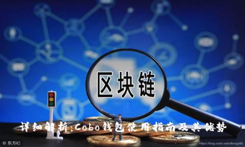 详细解析:Cobo钱包使用指南及其优势