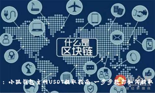 : 小狐钱包主网USDT提取指南:一步步教你如何提取