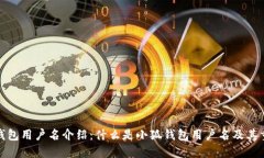 小狐钱包用户名介绍:什么是小狐钱包用户名及