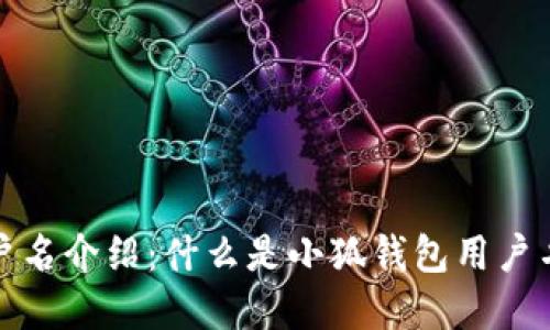 小狐钱包用户名介绍:什么是小狐钱包用户名及其重要性