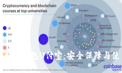 深入了解冷钱包U付宝:安全保障与使用技巧
