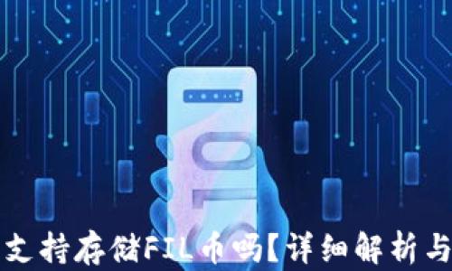 小狐钱包支持存储FIL币吗?详细解析与使用指南