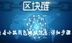 如何查看小狐钱包地址信息:详细步骤与指南