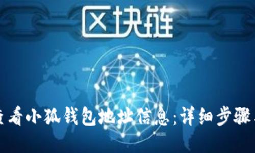 如何查看小狐钱包地址信息:详细步骤与指南
