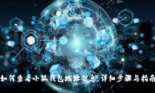 如何查看小狐钱包地址信息:详细步骤与指南