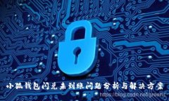 小狐钱包闪兑未到账问题分析与解决方案