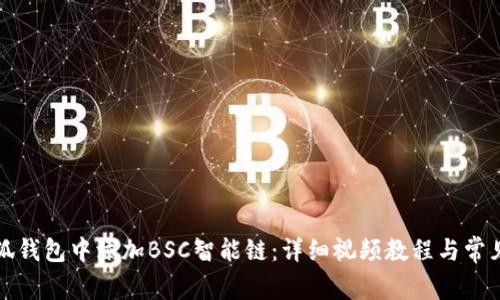 如何在小狐钱包中添加BSC智能链:详细视频教程与常见问题解析