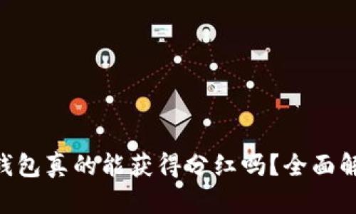 : CHZ币放冷钱包真的能获得分红吗?全面解析与投资建议